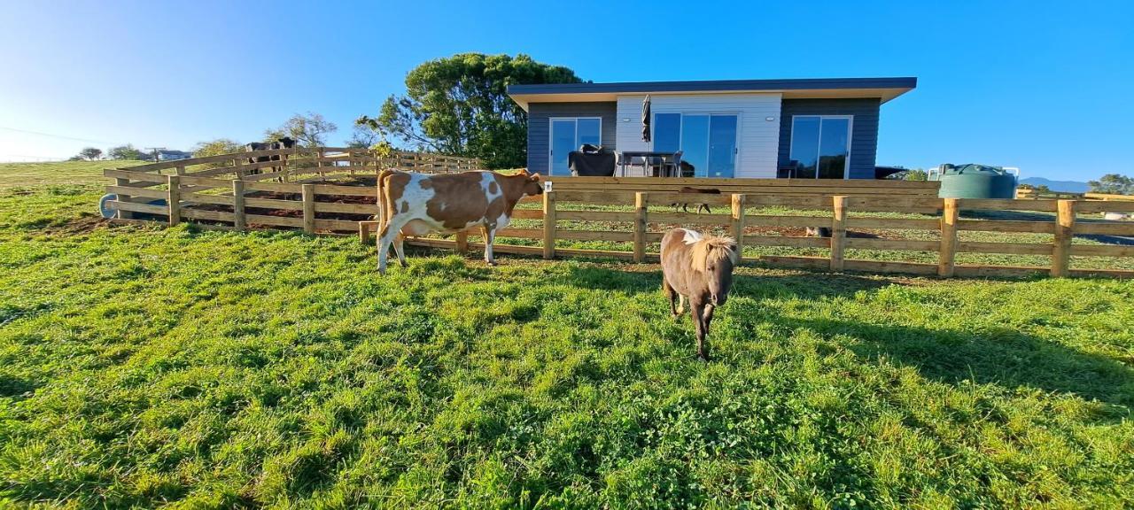 Country Comfort - Only 10 Minutes From Hamilton Cbd Exterior photo