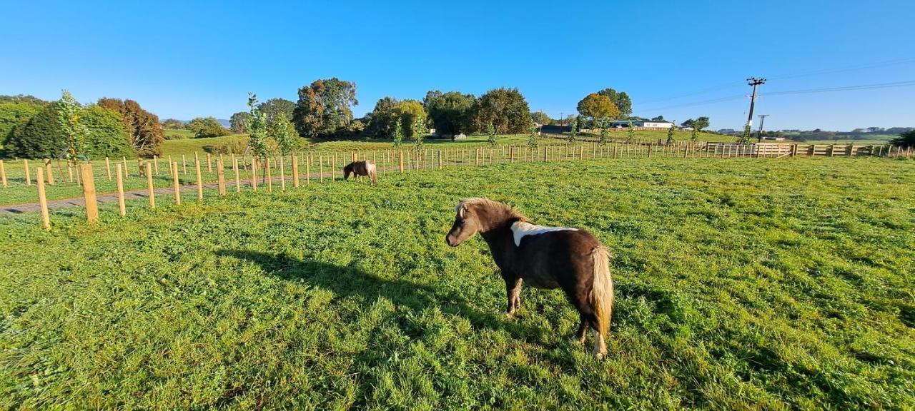 Country Comfort - Only 10 Minutes From Hamilton Cbd Exterior photo